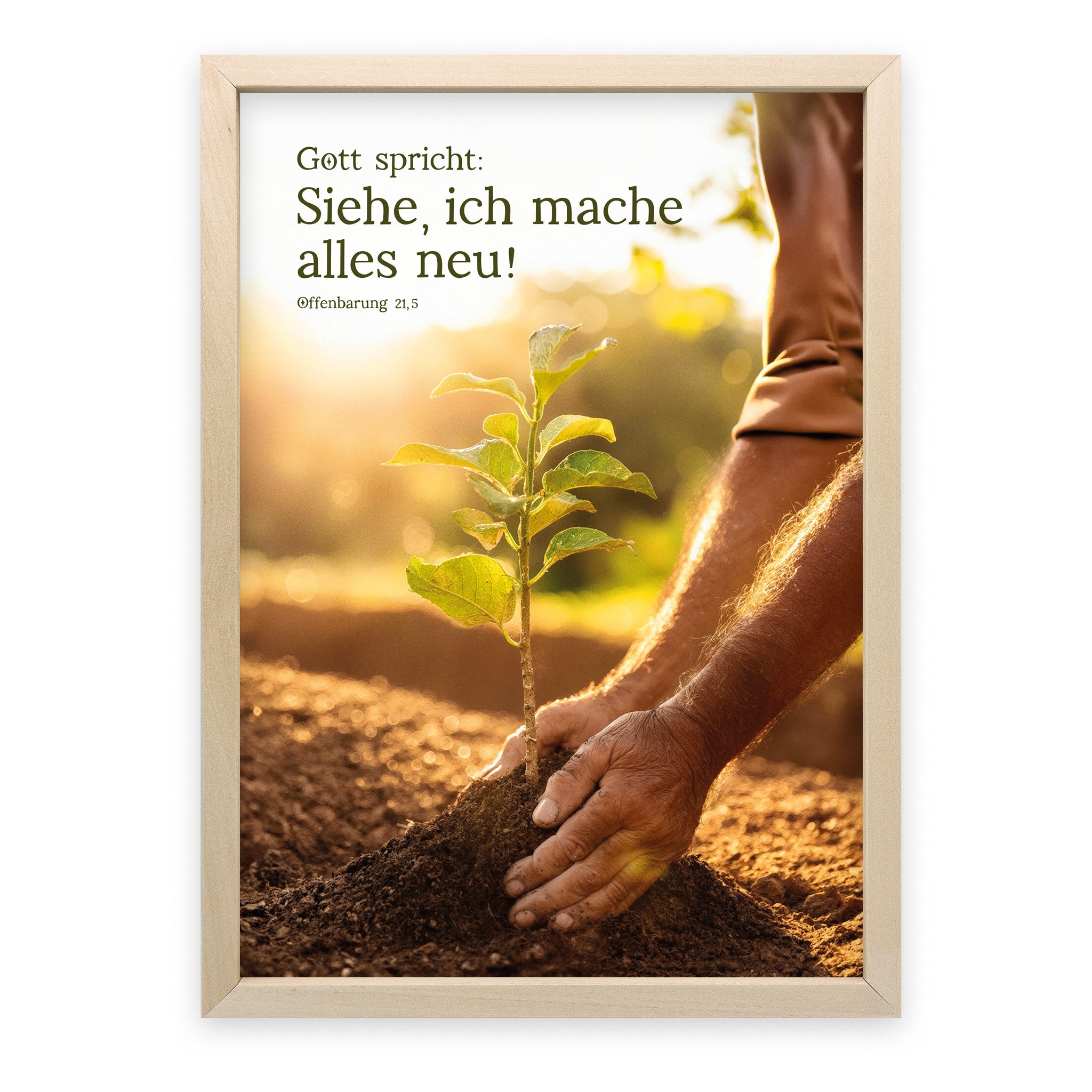 Poster Jahreslosung 2026 Motiv Baumpflanzen - Undarstellbar