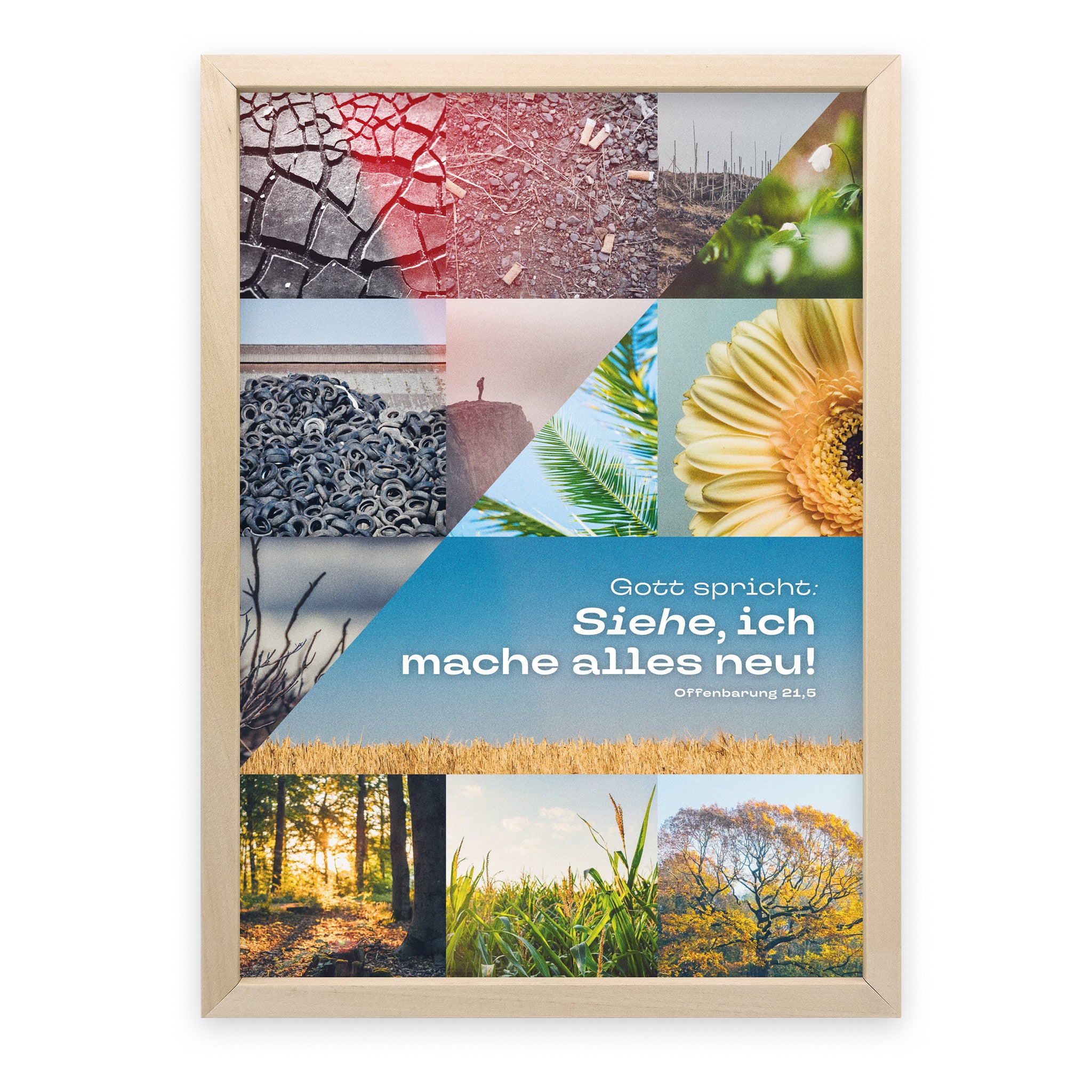 Poster Jahreslosung 2026 Motiv Natur - Undarstellbar