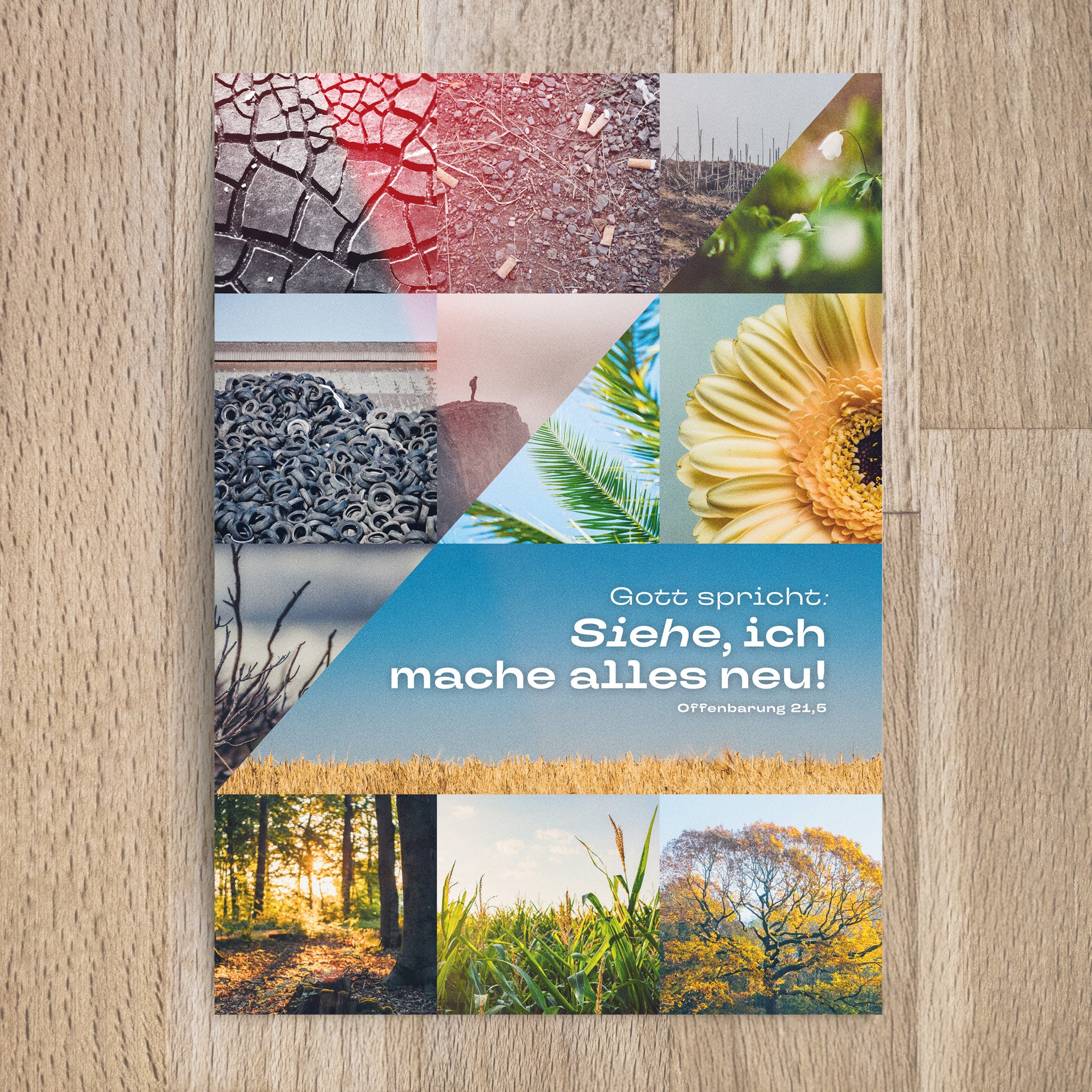 Postkarte Jahreslosung 2026 Motiv Natur - Undarstellbar