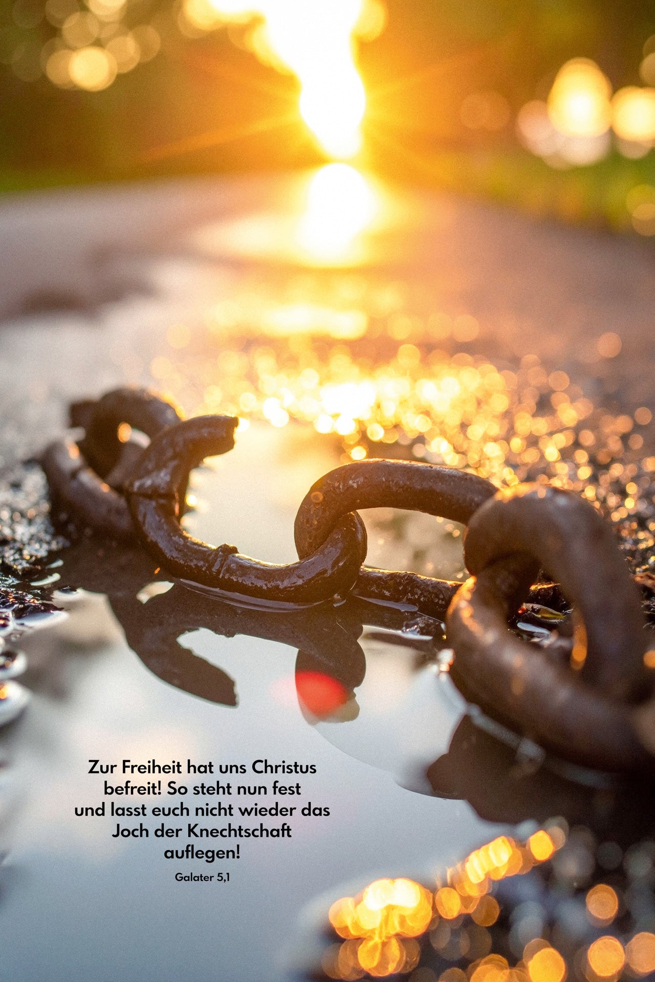 Posterset Monatssprüche 2026