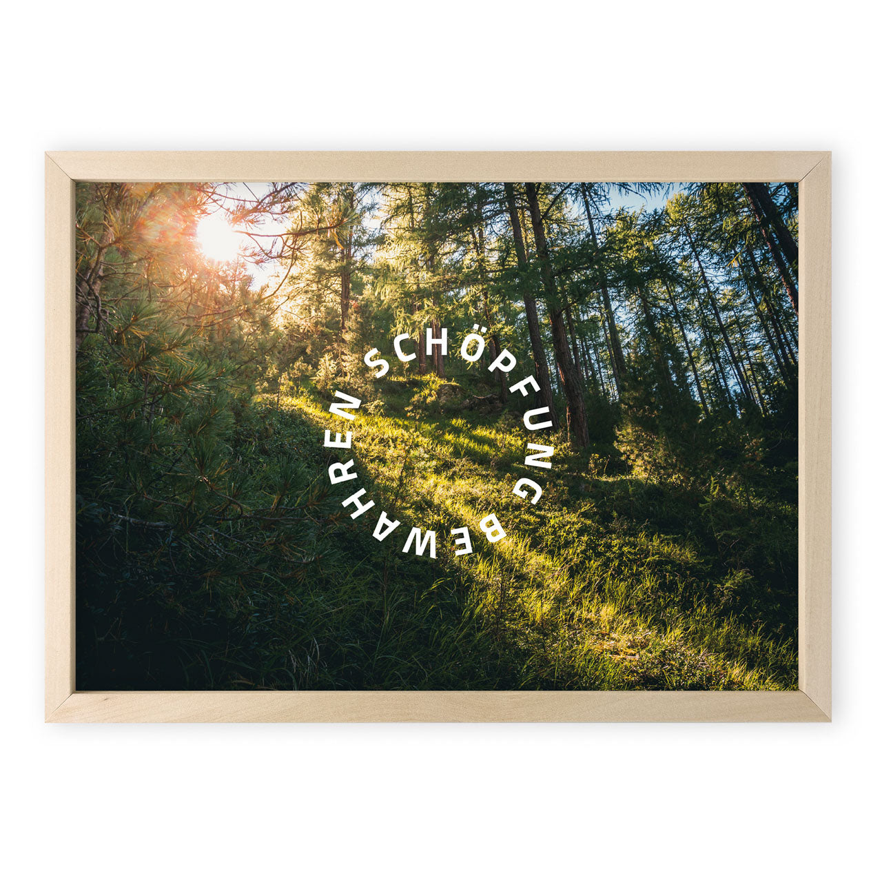 Poster Schöpfung bewahren Motiv Wald